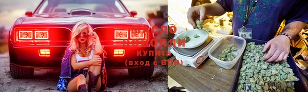 дмт Алзамай