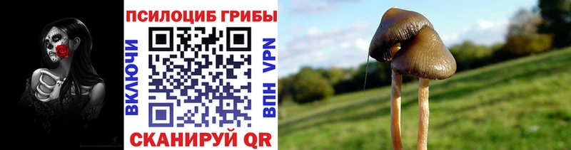 Галлюциногенные грибы Psilocybe  что такое наркотик  Заводоуковск 