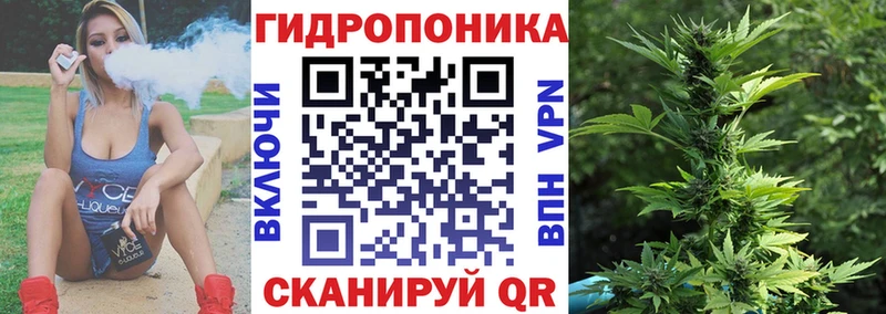 где найти   OMG   Конопля VHQ  Заводоуковск 